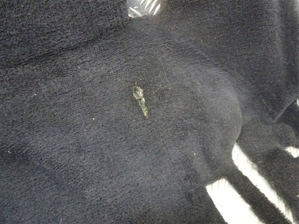 Rear Roof Smooth Black Carpet - Alfa Romeo 916 Spider 1998-2005 - Image 7